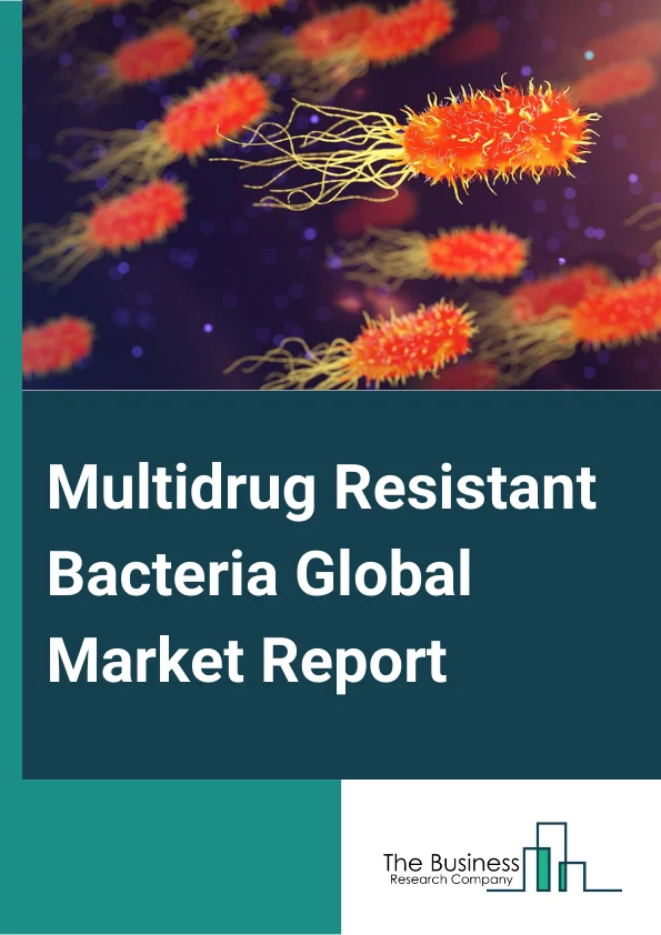 Multidrug Resistant Bacteria Global Market Report 2024 