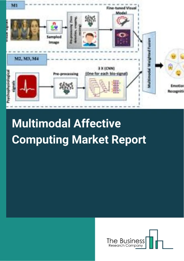 Multimodal Affective Computing Market Report Infographic Image