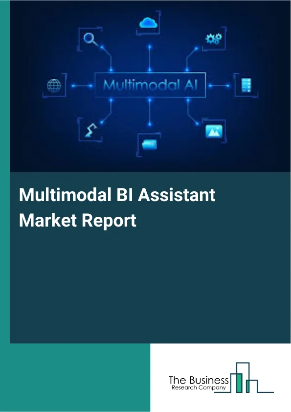 Multimodal BI Assistant Market Report Infographic Image
