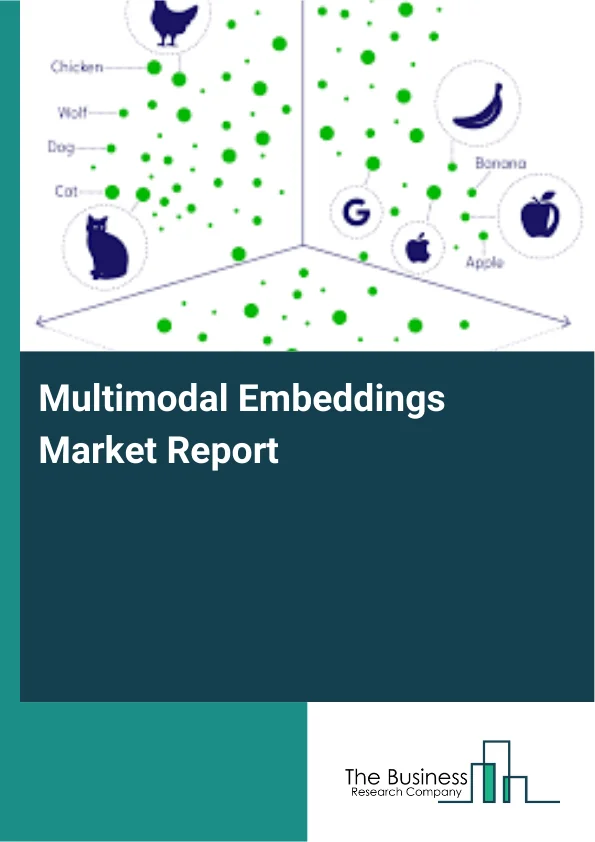 Multimodal Embeddings Market Report Infographic Image