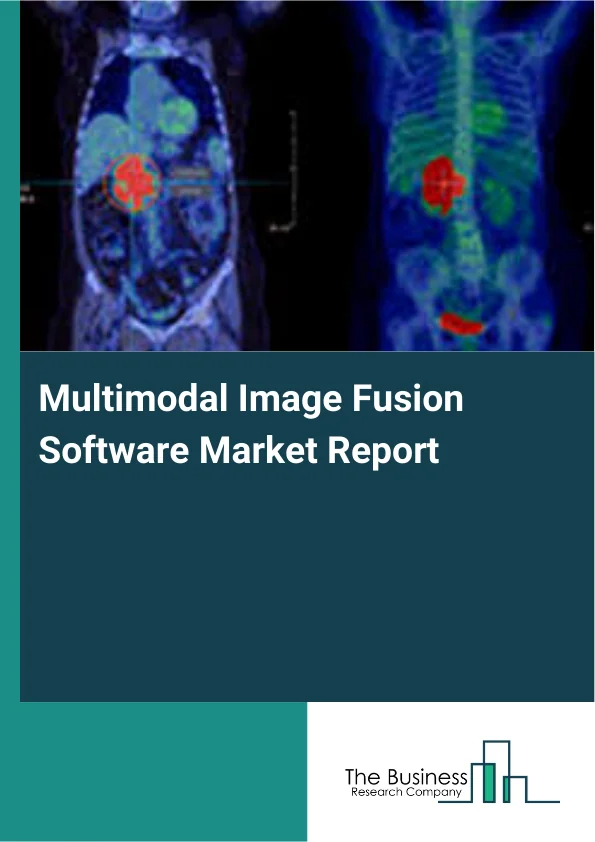 Multimodal Image Fusion Software Market Report Infographic Image