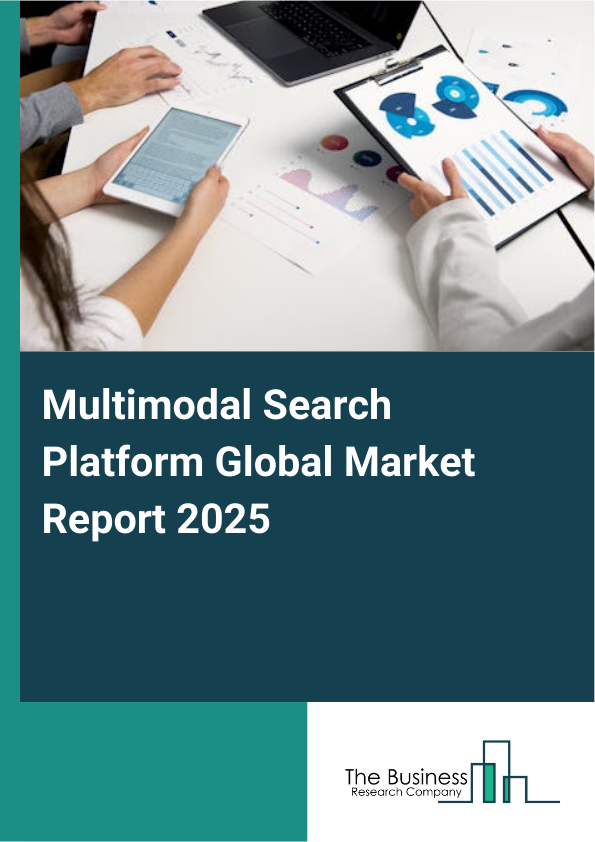 Multimodal Search Platform Market Report Infographic Image