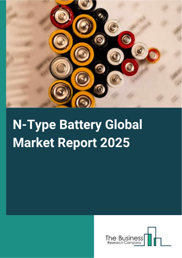 Global N-Type Battery Market Report 2025