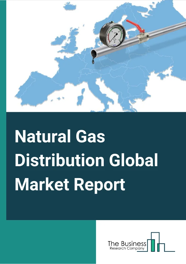 Natural Gas Distribution Market Report 2023