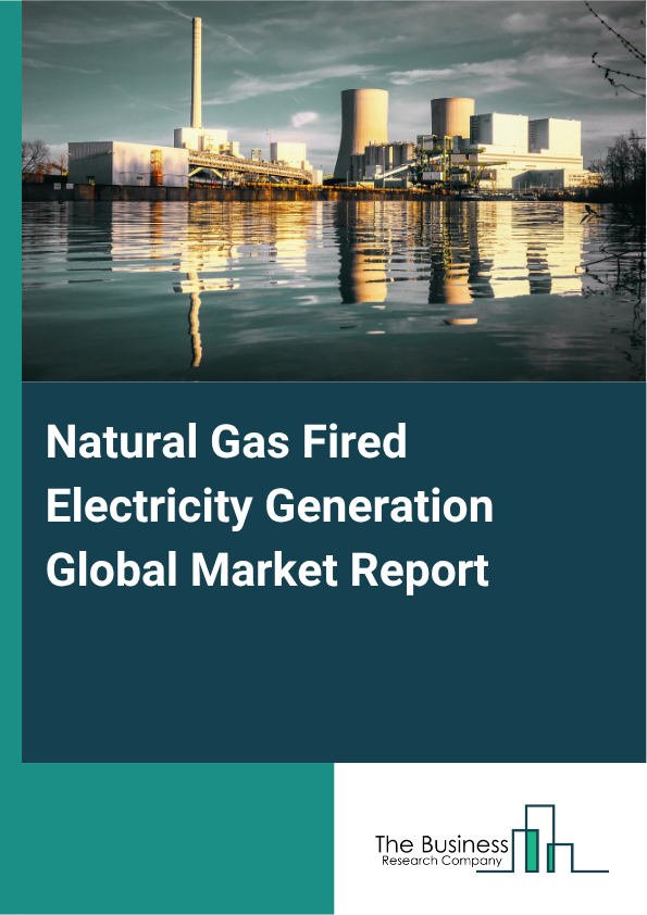 Natural Gas Fired Electricity Generation Market Size and growth rate 2025 to 2029: Graph