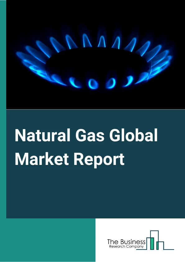 Natural Gas Market Report 2023