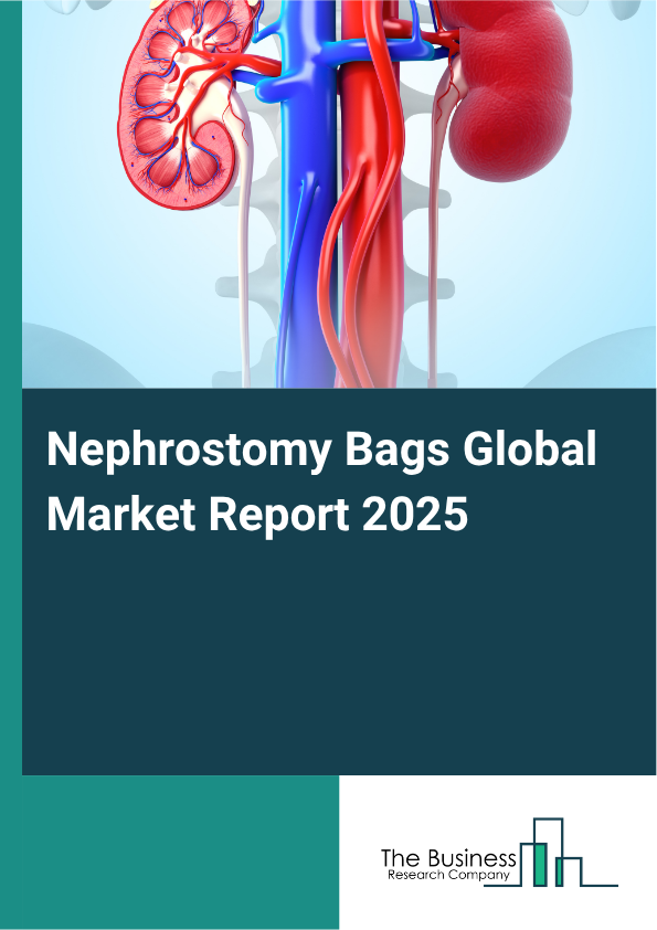 Global Nephrostomy Bags Market Report 2025 