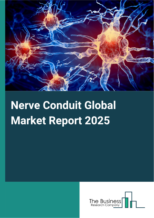 Global Nerve Conduit Market Report 2025