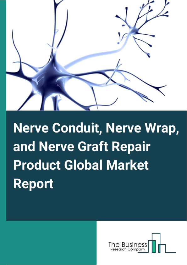 Global Nerve Conduit, Nerve Wrap, and Nerve Graft Repair Product Market Report 2025