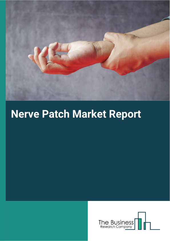 Nerve Patch Market Report Infographic Image