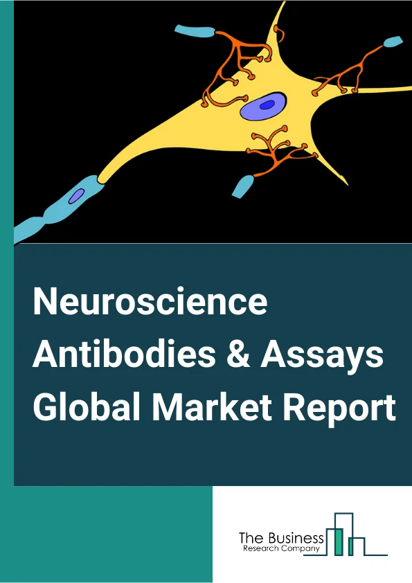Neuroscience Antibodies & Assays Global Market Report 2024 – By Product (Consumables, Instruments ), By Technology (Molecular Diagnostics, Clinical Chemistry, Immunoassays Or Immunochemistry, Others Technologies ), By Application (In Vitro Diagnostics, Research, Drug Discovery ), By End User (Hospitals And Diagnostics Centers, Academic And Research Institutes, Pharmaceutical And Biotechnology Companies) – Market Size, Trends, And Global Forecast 2024-2033