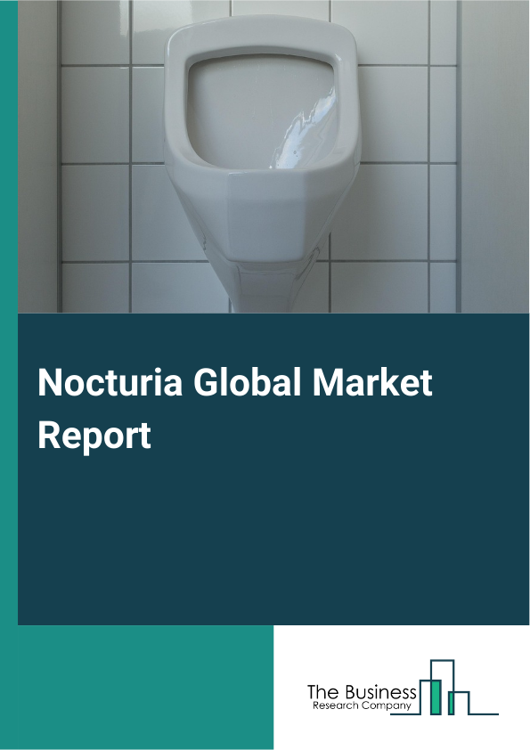 Global Nocturia Market Report 2025