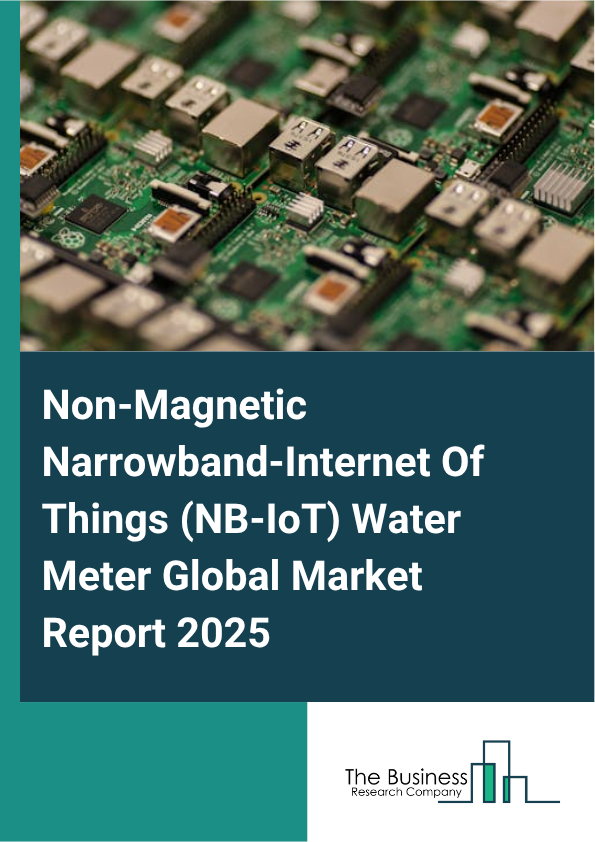Global Non-Magnetic Narrowband-Internet Of Things (NB-IoT) Water Meter Market Report 2025