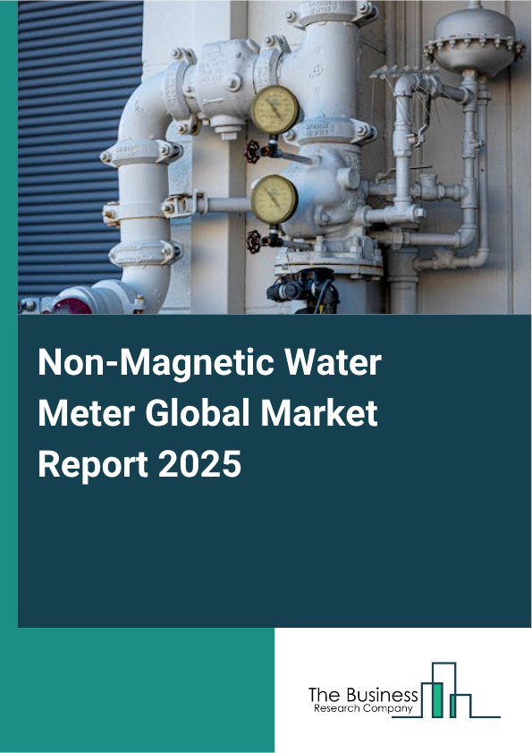 Global Non-Magnetic Water Meter Market Report 2025