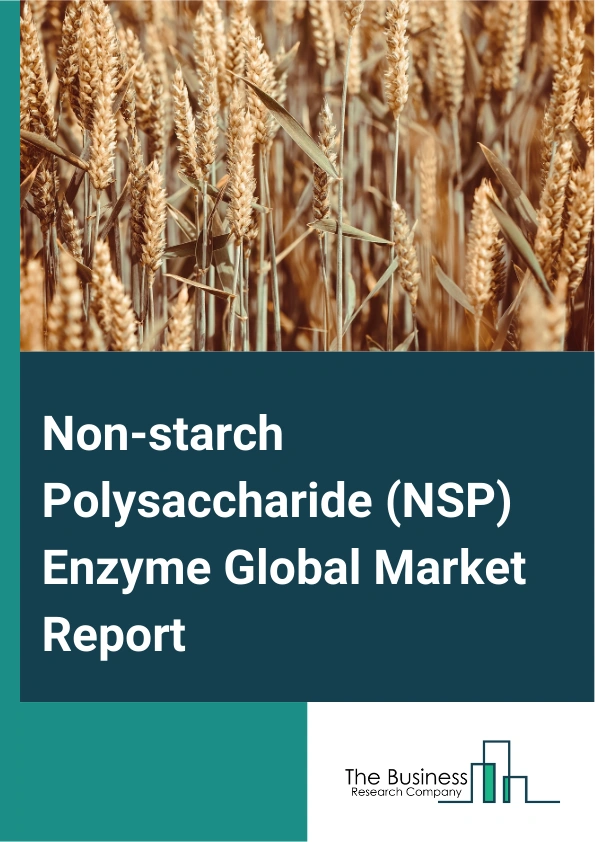 Global Non-starch Polysaccharide (NSP) Enzyme Market Report 2025