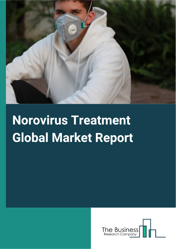 Global Norovirus Treatment Market Report 2025