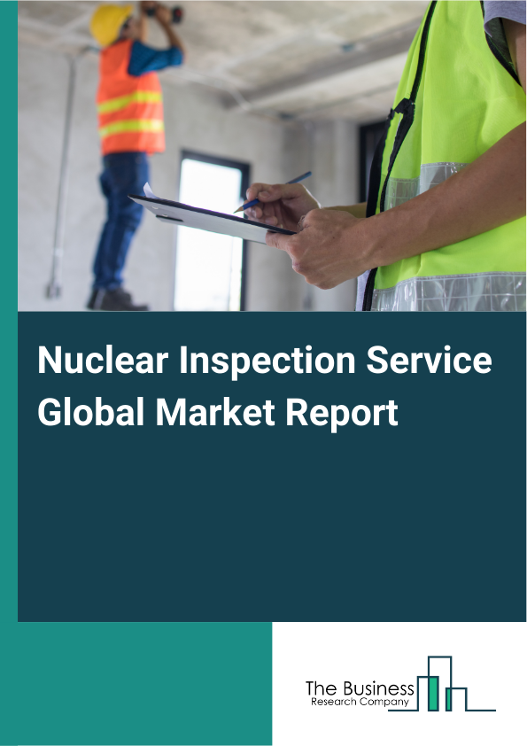 Global Nuclear Inspection Service Market Report 2025
