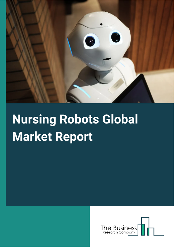 Global Nursing Robots Market Report 2025