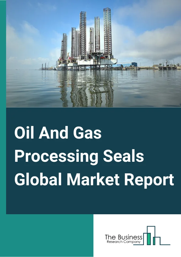 Oil and Gas Processing Seals