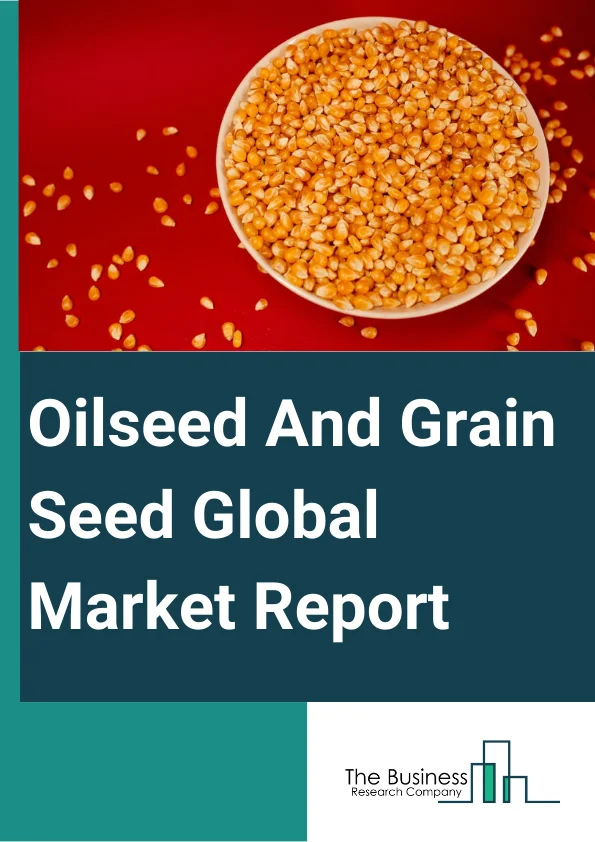 Oilseed And Grain Seed Global Market Report 2024 – By Type (Oilseed, Grain Seed), By Biotech Trait (Herbicides Tolerant, Insecticide Resistant, Other Stacked Trait), By Sales Channel Covered (Aftermarket, Manufacturer/Distributor/Service Provider), By Application (Feed, Food, Industrial, Agriculture Industry, Oil Market) – Market Size, Trends, And Global Forecast 2024-2033