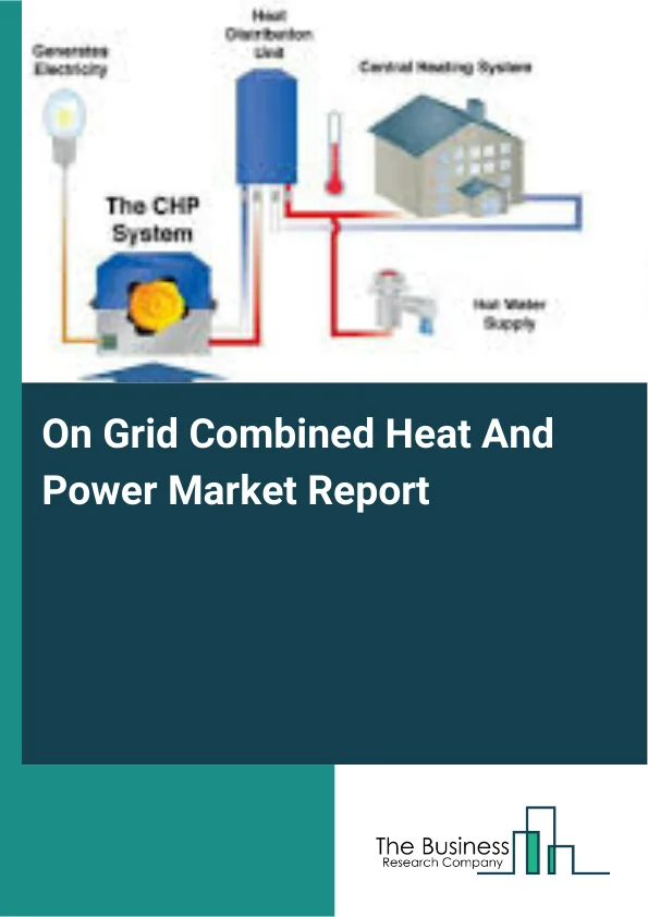On Grid Combined Heat And Power Market Report Infographic Image