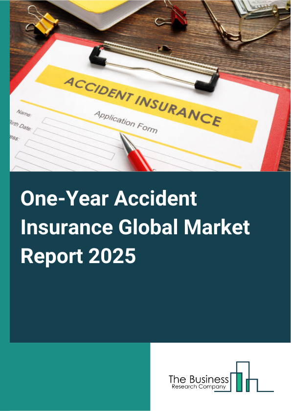 Global One-Year Accident Insurance Market Report 2025