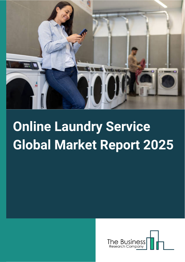 Global Online Laundry Service Market Report 2025