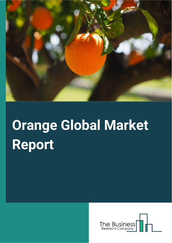 Global Orange Market Report 2025