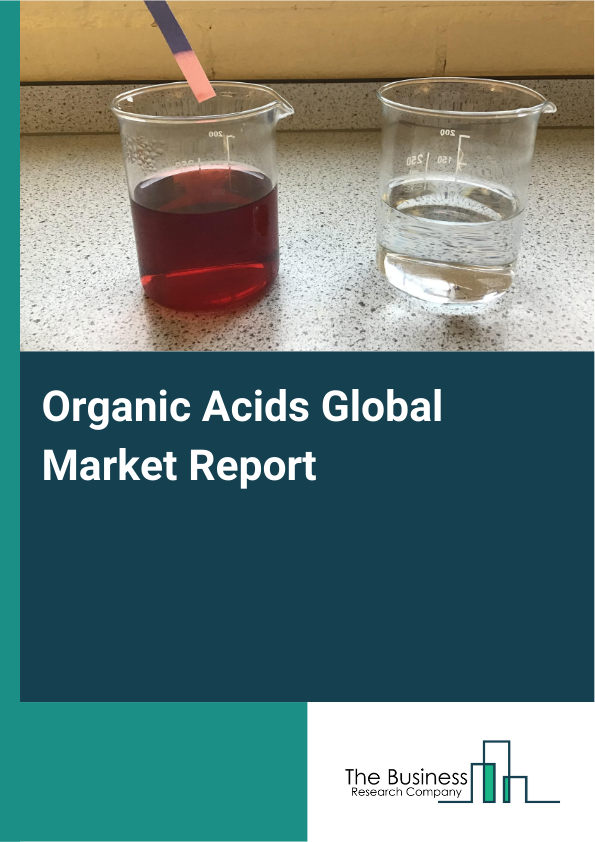 Global Organic Acids Market Report 2025