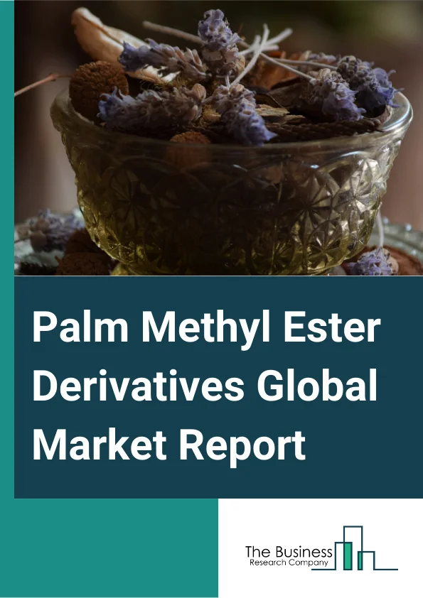 Global Palm Methyl Ester Derivatives Market Report 2024