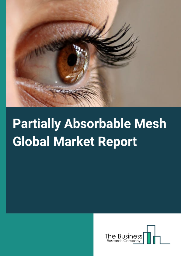 Global Partially Absorbable Mesh Market Report 2025