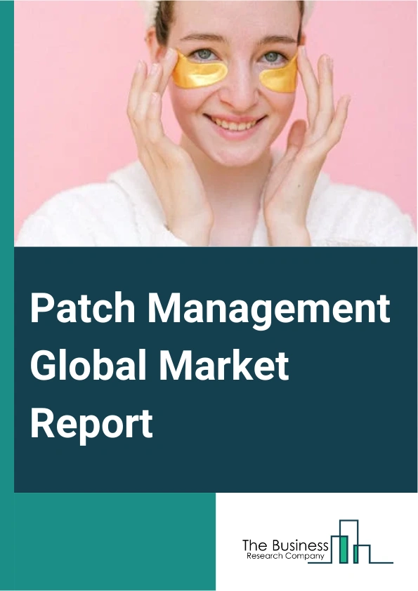 Global Patch Management Market Report 2025