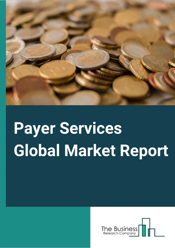 Payer Services Market Report 2023
