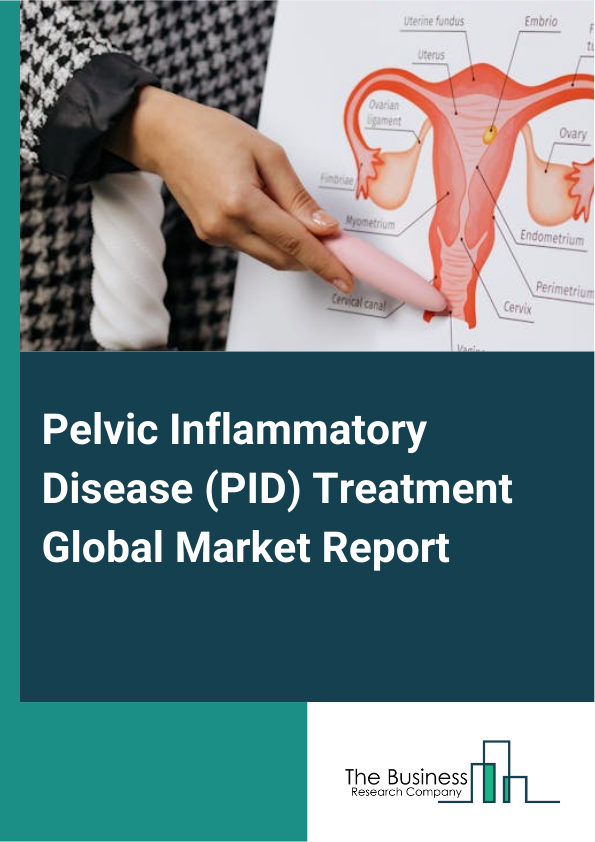 Global Pelvic Inflammatory Disease (PID) Treatment Market Report 2025