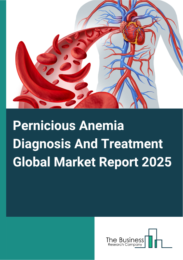 Global Pernicious Anemia Diagnosis And Treatment Market Report 2025