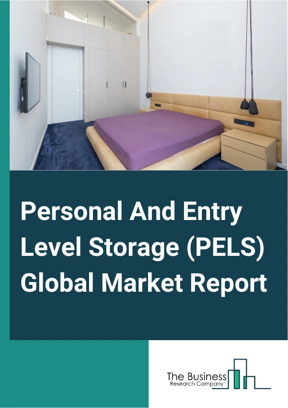 Global Personal And Entry Level Storage (PELS) Market Report 2025