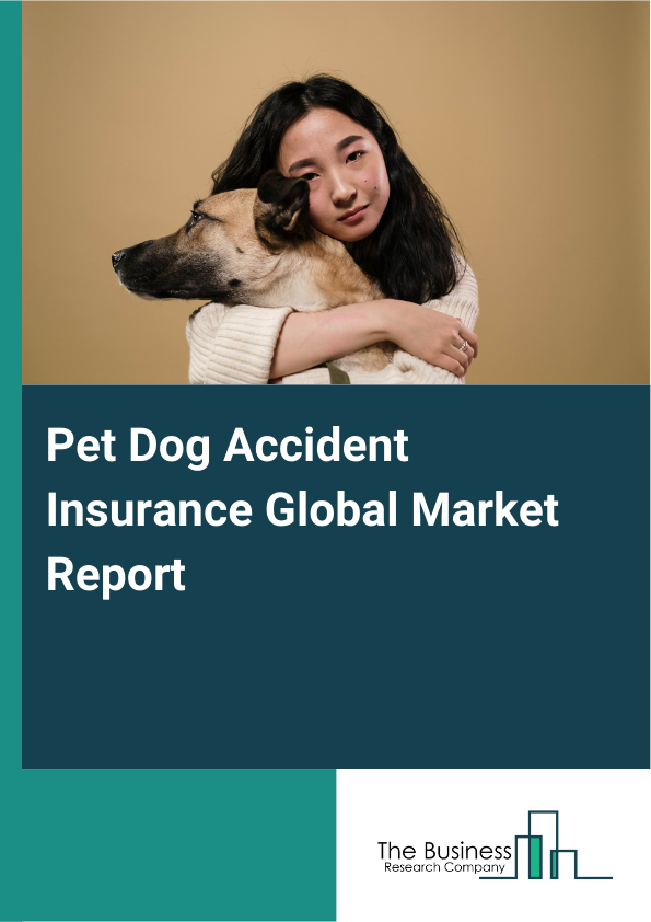 Global Pet Dog Accident Insurance Market Report 2025
