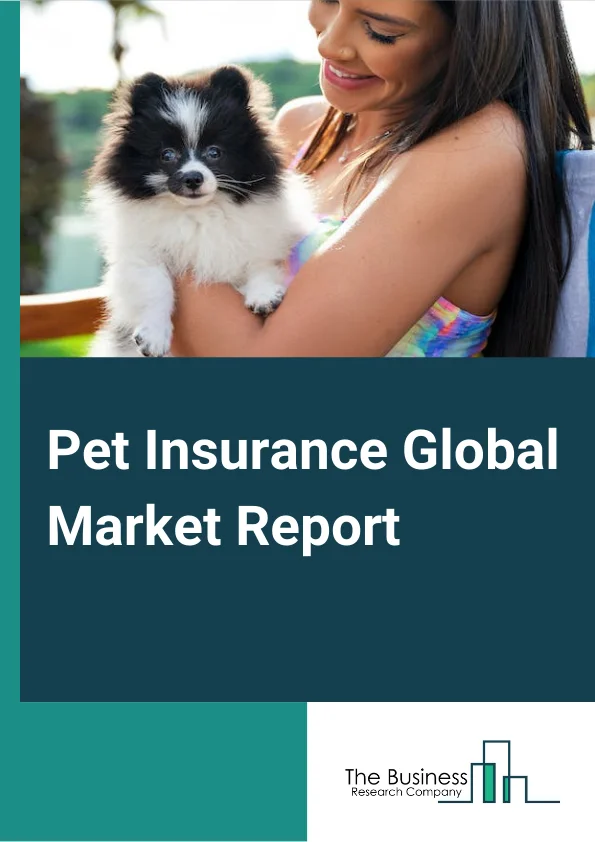 Pet Insurance Global Market Report 2024 – By Policy Coverage (Accident And Illness, Accident Only), By Animal Type (Dog, Cat), By Provider (Public, Private) – Market Size, Trends, And Global Forecast 2024-2033