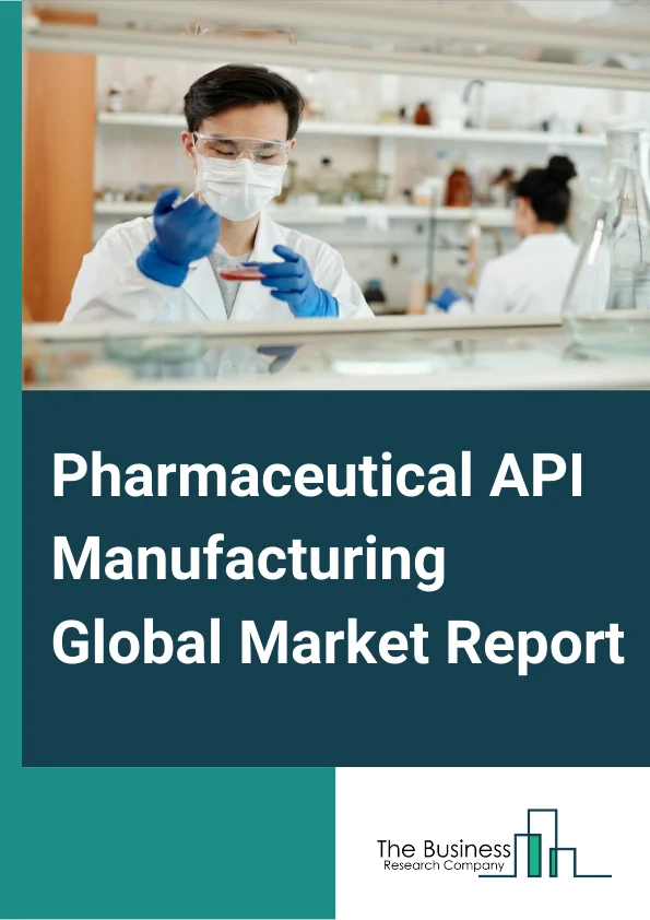 Pharmaceutical API Manufacturing Market Report 2023