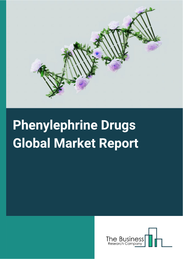 Phenylephrine Drugs Market Global Report 2026 Market Report Infographic Image