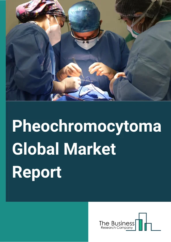 Pheochromocytoma Global Market Report 2024 