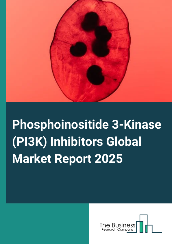 Global Phosphoinositide 3-Kinase (PI3K) Inhibitors Market Report 2025 