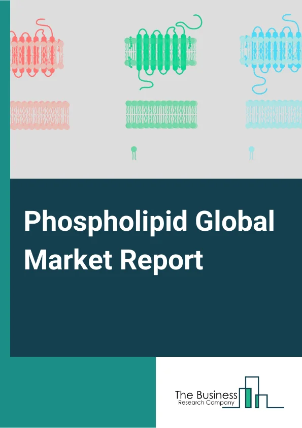 Global Phospholipid Market Report 2024