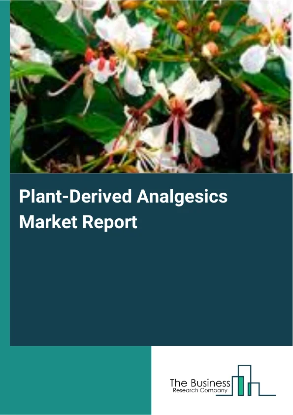 Plant-Derived Analgesics Market Report Infographic Image