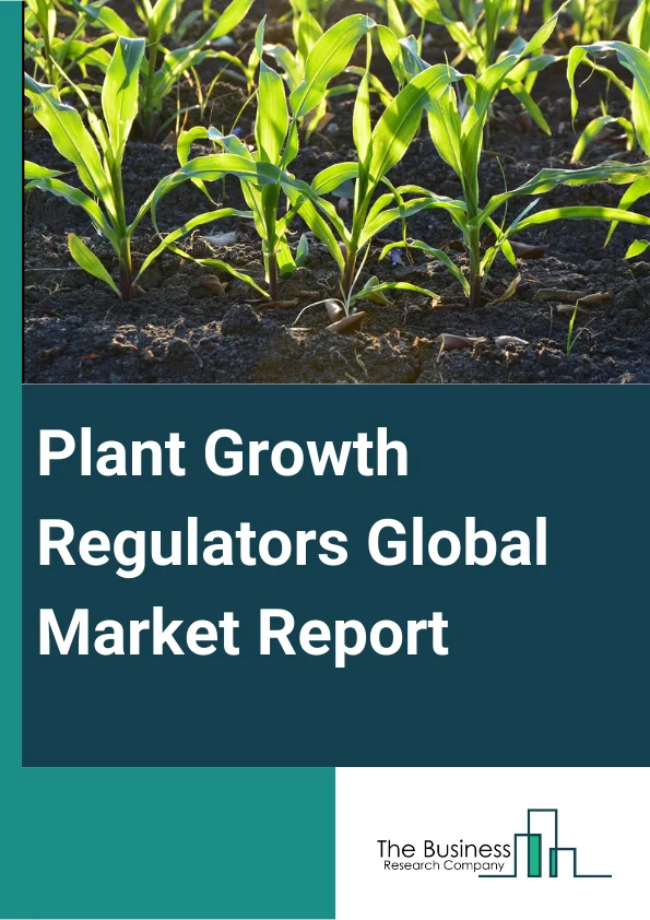 Plant Growth Regulators Global Market Report 2024 – By Type (Cytokinins, Auxins, Gibberelins, Ethylene, Other Types), By Formulation (Water-Dispersible And Water-Soluble Granules, Wettable Powders, Solutions), By Application Type (Fruits And Vegetables, Cereals And Grains, Oil Seeds And Pulses, Turf And Ornaments) – Market Size, Trends, And Global Forecast 2024-2033