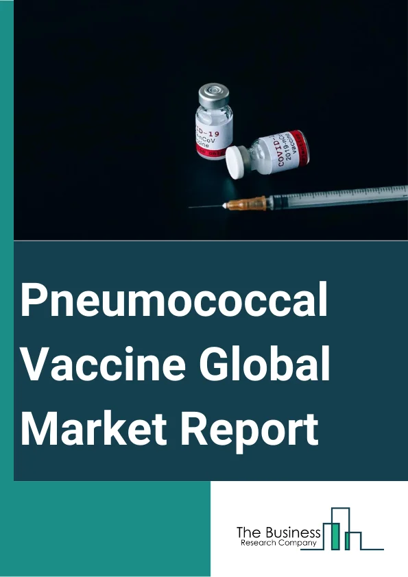 Pneumococcal Vaccine Global Market Report 2025 – By Product Type (Prevnar 13, Synflorix, Pneumovax23, Other Products), By Route of Administration (Intravenous, Intramuscular, Subcutaneous), By Distribution Channel (Pharmacies, Community Clinics, Public Health Agencies, Other Distribution Channels), By End User (Pediatrics, Adults) – Market Size, Trends, And Global Forecast 2025-2034