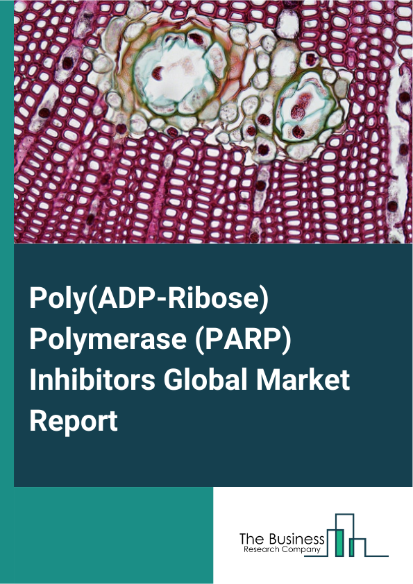 Global Poly(ADP-Ribose) Polymerase (PARP) Inhibitors Market Report 2025