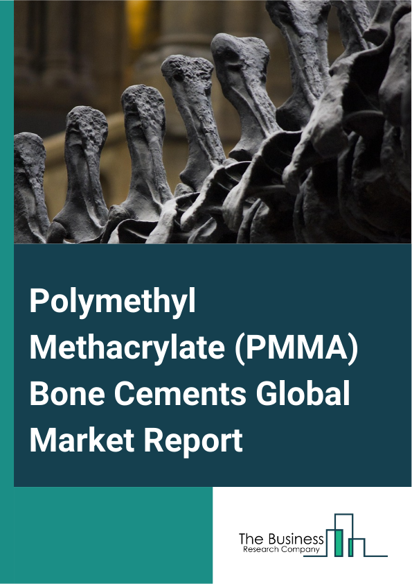 Global Polymethyl Methacrylate (PMMA) Bone Cements Market Report 2025