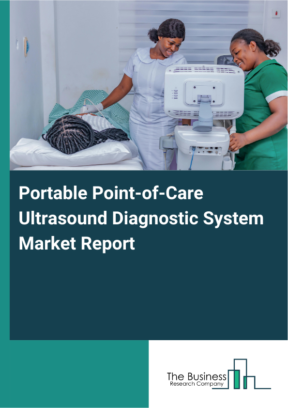 Portable Point-of-Care Ultrasound Diagnostic System Market Report Infographic Image