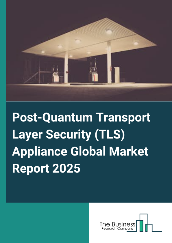 Global Post-Quantum Transport Layer Security (TLS) Appliance Market Report 2025